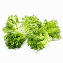 ¡Ú¤Õ¤ë¤µ¤ÈǼÀÇ¡ÛÍÆÎ̤¿¤Ã¤×¤ê!NOUMANN¥Õ¥ê¥ë¥ì¥¿¥¹(2kg)¡Ú1019080¡Û