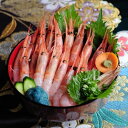【ふるさと納税】越前甘エビ【大サイズ・卵あり】&素潜りサザエ...