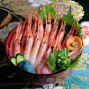 【ふるさと納税】【数量限定】越前甘えび【大サイズ・卵あり】 ...