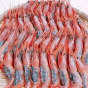 【ふるさと納税】越前甘えび500g【中サイズ・卵あり・バラ】...