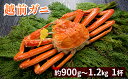 【ふるさと納税】越前ガニ 約1.2kg 1杯 【ずわい蟹/ボ...