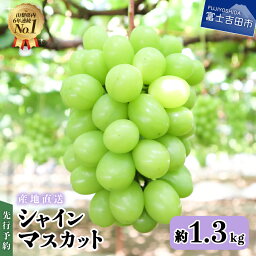 【ふるさと納税】 <strong>シャインマスカット</strong> 山梨 大粒 高級 <strong>産地直送</strong> 約 1.3kg 2房 先行予約 フルーツ マスカット シャイン ぶどう 果物 朝採り