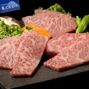 【ふるさと納税】山梨県産 富士山麓牛 霜降りカルビ 500g...