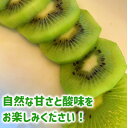 【ふるさと納税】山梨市産 キウイフルーツ(栽培期間中、農薬不使用) 2kg【1271303】