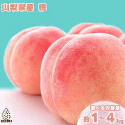 【<strong>ふるさと納税</strong>】【日本一のもも生産量】山梨 直送 ! 旬の 完熟<strong>桃</strong> 1kg ～ 4kgギフト箱 入り　選べる 内容量　1kg　1.5kg　2kg　3kg　4kg【配送不可地域：離島、沖縄県】