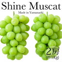 【ふるさと納税】【先行予約 開始】 山梨県産 シャインマスカット 2房(約1kg)<出荷時期:2021年8月下旬出荷~10月上旬>【 フルーツ ぶどう 山梨県 山梨市 】