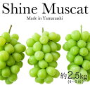 【ふるさと納税】【先行予約 開始】 山梨県産 シャインマスカット 約2.5kg(4~6房)<出荷時期:2021年8月下旬出荷~10月上旬>【 フルーツ ぶどう 山梨県 山梨市 】