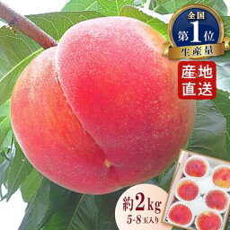 【<strong>ふるさと納税</strong>】【果物】山梨厳選の逸品旬の<strong>桃</strong> 約2kg【配送不可地域：離島】【1220381】