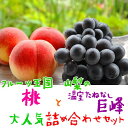 【ふるさと納税】山梨の桃と温室たねなし巨峰の詰め合わせ ※6...