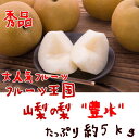 【ふるさと納税】厳選!!山梨の梨