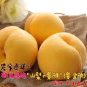 【ふるさと納税】【鮮度バツグン】【農家直送】桃名産地