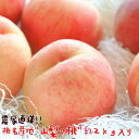 【ふるさと納税】【鮮度バツグン】【農家直送】桃名産地