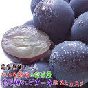 【ふるさと納税】【鮮度バツグン】【農家直送】ぶどう名産地