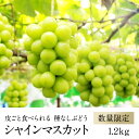【ふるさと納税】【数量限定予約】シャインマスカット 約1.2...