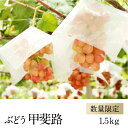 【ふるさと納税】【数量限定予約】高級 ぶどう 甲斐路 約1....