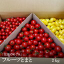 【ふるさと納税】山梨県南アルプス市からお届け「太陽のめぐみ」...