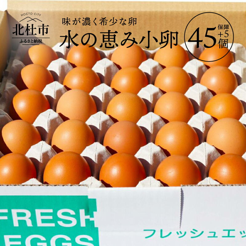こだわりたまご“蘭王”Ｍサイズ　10kg　鮮やかな濃いオレンジ色の卵黄色　卵　たまご　新鮮