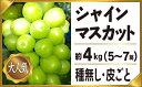 【ふるさと納税】 シャインマスカット 5-7房 約4.0kg...