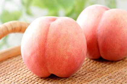朝採り 新鮮 桃 約3kg 7～11玉産地直送 山梨県産 フルーツ 桃