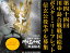 【ふるさと納税】第44回 川中島合戦戦国絵巻 ポスター・リーフレット モデル 〜石和温泉宿泊券10,000円分付〜 1,000,000円