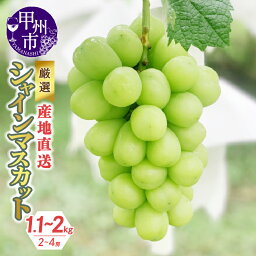 【ふるさと納税】 <strong>シャインマスカット</strong> <strong>産地直送</strong> 選べる内容量 1.1kg（2～3房） 1.5kg（2～3房） 2kg（2～4房） 山梨県 甲州市 フルーツ ぶどう 甘い 大きい 果実 くだもの 人気 マスカット ソムリエ 厳選 2024年発送 （KKH）