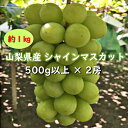 【ふるさと納税】シャインマスカット約1kg(1房500g以上...