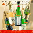 【ふるさと納税】『山梨の泡』スパークリングワイン 5本セット...