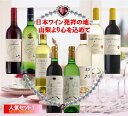 【ふるさと納税】地理的表示『山梨』ワイン 8本セット R50...