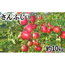 【ふるさと納税】【2019年度産】さんふじ家庭用10kg 【...