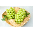 【ふるさと納税】【2020年秋発送分 先行予約】長野市産シャインマスカット1kg※クレジット限定 【果物類・ぶどう・マスカット・フルーツ】 お届け:2020年9月上旬~2020年10月中旬
