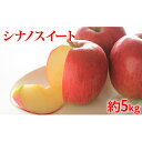 【ふるさと納税】【2020年度産】シナノスイート家庭用5kg ※クレジット限定 【果物類・林檎・果物類・フルーツ】 お届け:2020年10月15日~2020年11月10日