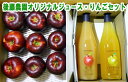【ふるさと納税】後藤農園オリジナルジュース・りんごセット【果実飲料・ジュース・飲料類・果汁飲料・りんごジュース・リンゴ・林檎】
