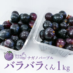 【ふるさと納税】【先行受付】数量限定 訳あり ナガノパープル（バラバラ君）約1kg《信州うちやま農園》■2024年発送■※8月下旬頃～10月下旬頃まで順次発送予定 訳あり フルーツ 果物 ぶどう ブドウ 葡萄