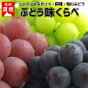 【ふるさと納税】☆先行予約 葡萄三昧 高級ぶどう味くらべセット(3種各3房) 【果物・ぶどう・フルーツ・シャインマスカット】
