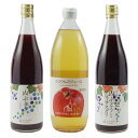 【ふるさと納税】ノンアルコール飲料詰合せ3種セット 【果実飲...