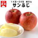【ふるさと納税】☆先行予約【信州須坂のりんご】サンふじ≪秀品...