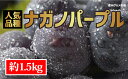 【ふるさと納税】☆先行予約≪人気の皮ごと≫ナガノパープル 約...