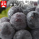 【ふるさと納税】☆先行予約≪人気の皮ごと≫ナガノパープル 約...