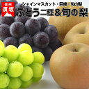 【ふるさと納税】☆先行予約【秋の味覚セット】人気のブドウ2種...