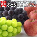 【ふるさと納税】☆先行予約【信州の味覚】人気のブドウ2種&旬...