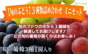 【ふるさと納税】☆先行予約【味くらべ】人気のぶどう3種詰合せ...