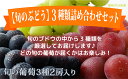 【ふるさと納税】☆先行予約【旬のぶどう】3種類詰合せセット(...