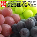 【ふるさと納税】☆先行予約 葡萄三昧 高級ぶどう味くらべミニセット(3種各1房) 【果物・ぶどう・フルーツ・シャインマスカット・巨峰】 お届け:2019年9月10日〜10月20日