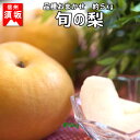【ふるさと納税】【信州須坂の梨】旬の梨 約5kg 【果物・フ...