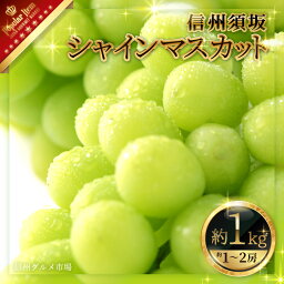 【ふるさと納税】<strong>シャインマスカット</strong> 約1kg（約1～2房）《信州グルメ市場》■2024年発送■※9月上旬頃～10月下旬頃まで順次発送予定 果物 フルーツ ぶどう ブドウ 葡萄 先行予約 期間限定 数量限定