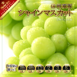 【<strong>ふるさと納税</strong>】<strong>シャインマスカット</strong> 【内容量が選択可能】700g 900g 1.2kg 2kg 3kg 5kg ■2024年発送■ ※9月上旬頃～10月下旬頃まで順次発送予定《信州グルメ市場》 先行予約 数量限定 期間限定 果物 フルーツ ぶどう ブドウ 葡萄