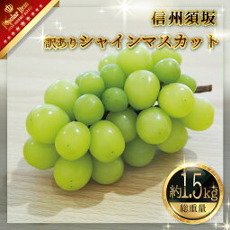 【ふるさと納税】<strong>訳あり</strong> <strong>シャインマスカット</strong> 約1.5kg《信州グルメ市場》■2024年発送■※9月上旬頃～10月下旬頃まで順次発送予定 果物 フルーツ ぶどう ブドウ 葡萄 先行予約 期間限定 数量限定