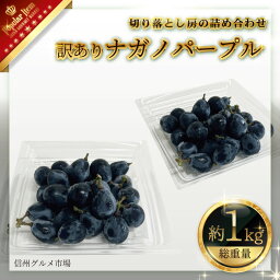 【ふるさと納税】訳あり<strong>ナガノパープル</strong>約1kg（切り落とし房の詰め合わせ）《信州グルメ市場》■2024年発送■※8月下旬頃～9月下旬頃まで順次発送予定 果物 フルーツ ぶどう ブドウ 葡萄 期間限定 数量限定 パック