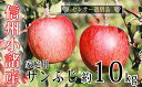 【ふるさと納税】信州...
