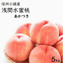【ふるさと納税】信州小諸産「浅間水蜜桃」みつおかのもも約5k...